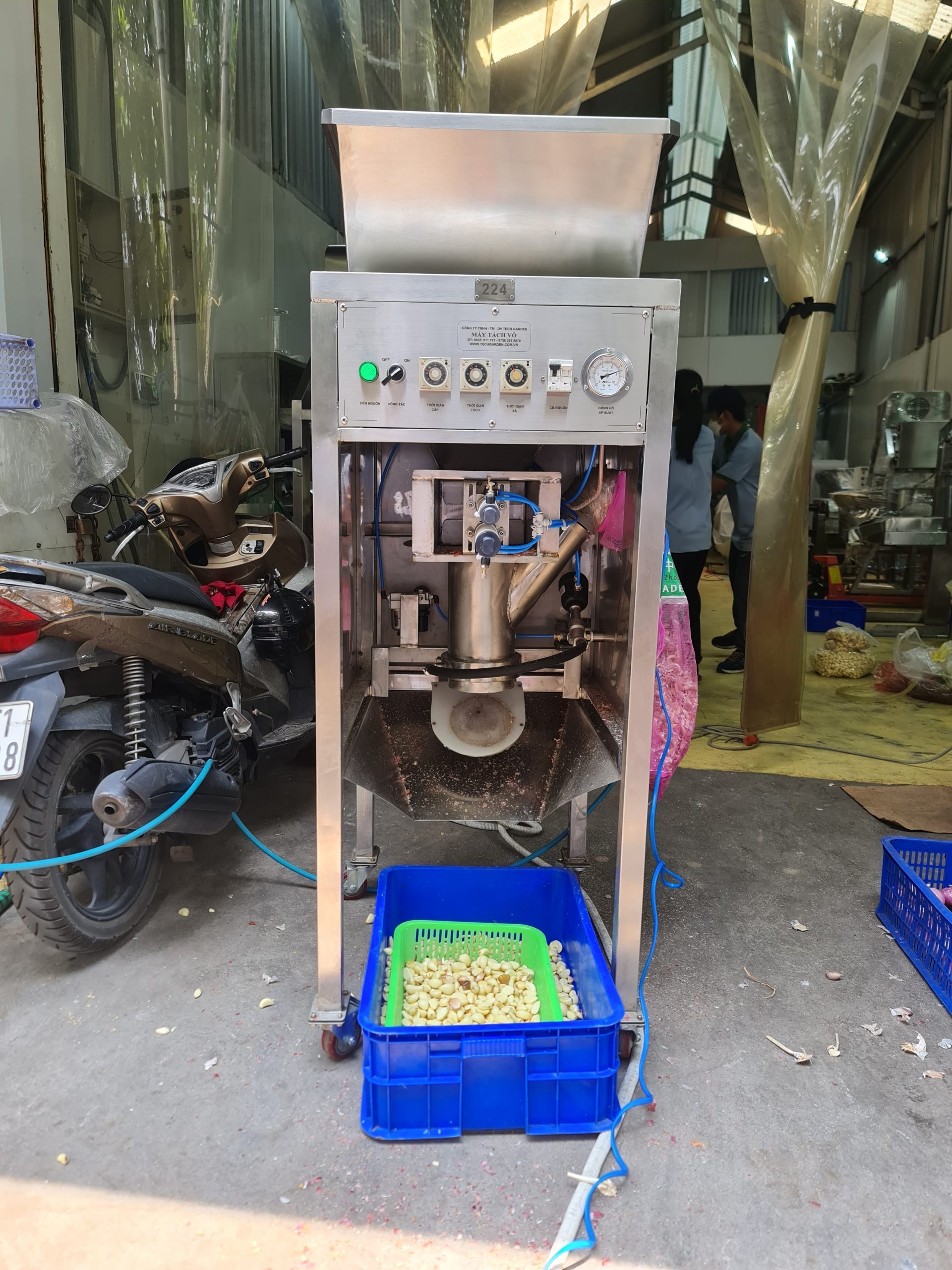 Automatic Garlic, Onion Peeling Machine - TechGarden