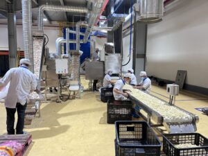 Dây chuyền lột vỏ hành tỏi