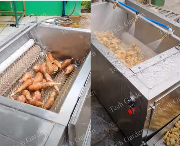 Hình ảnh: Máy rửa nông sản dạng trục cước.
