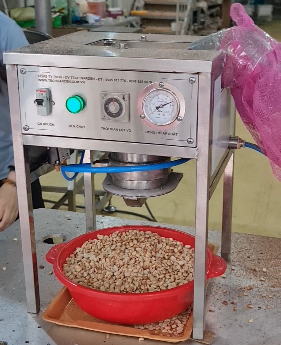 Automatic Garlic, Onion Peeling Machine - TechGarden