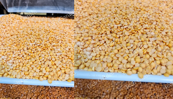 soybeans after separation