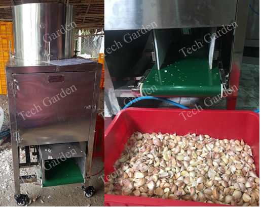 Tech Garden automatic garlic separator with fan