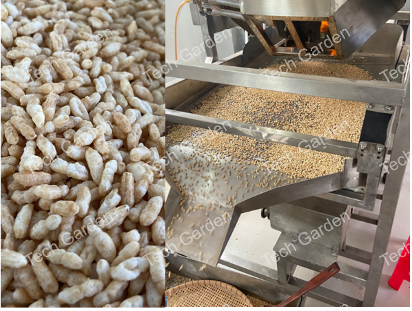 Roasting machine for nuts (rice, brown rice).