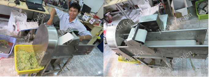Hình ảnh: Máy thái sả có băng tải (công suất 100kg/giờ).