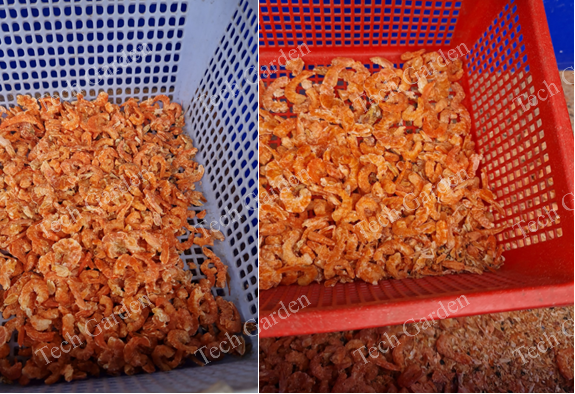 Dried shrimp after peeling