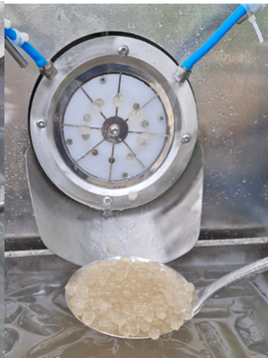 Sản phẩm trân châu