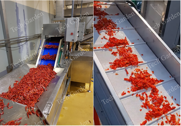 Hình ảnh: Dây chuyền tách hạt ớt, băm thô/mịn là sản phẩm chế tạo máy của Tech Garden đã đi vào hoạt động trong nhà máy.