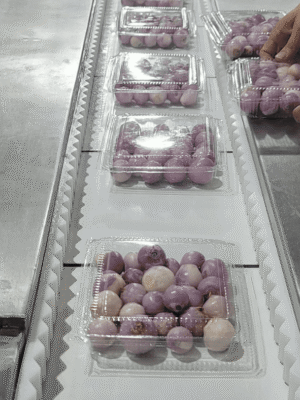 Alternative view of Máy Đóng Gói Rau Củ Quả