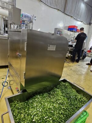 Alternative view of Máy Thái Dạng Băng Tải