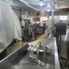 Meat and Agricultural Extruder (Garlic, Chili, etc.)