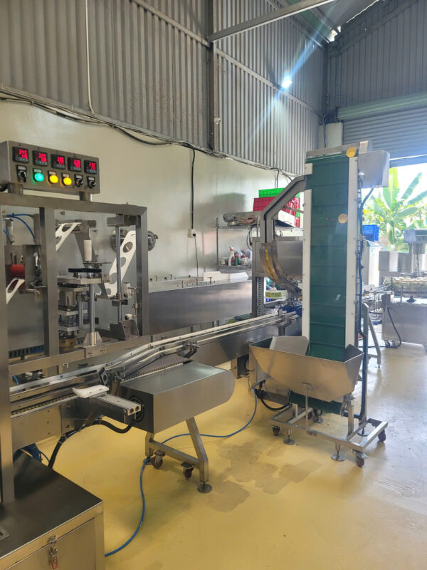 Dried Rimmed Fish Packaging Line - Jar Feeding, Sealing, Capping, Labeling