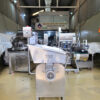 Meat and Agricultural Extruder (Garlic, Chili, etc.)