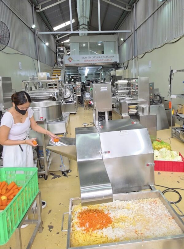 Dicer Machine