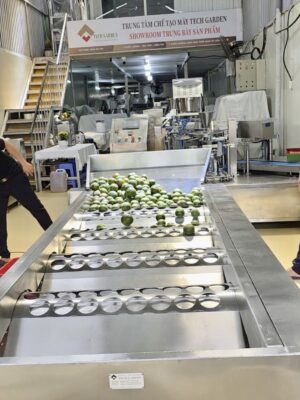 Alternative view of Máy Phân Loại Cam Theo Đường Kính